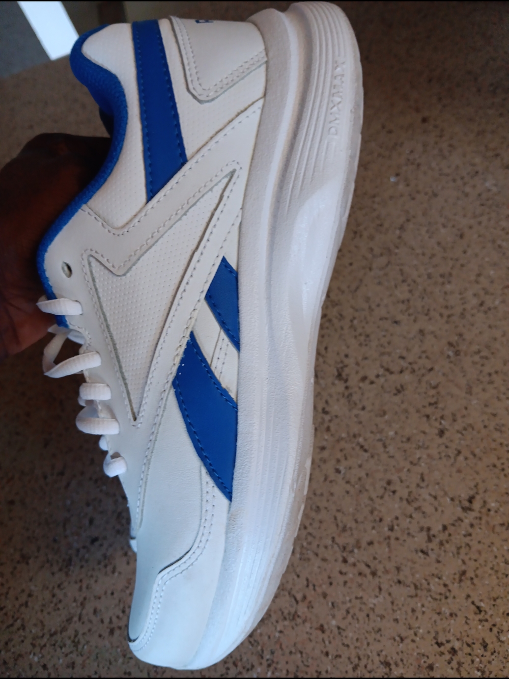 Reebok White and Blue Low-Profile Athletic Sneaker